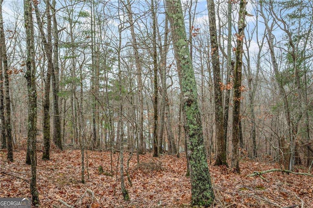 5990 Warpath Road Flowery Branch - 7