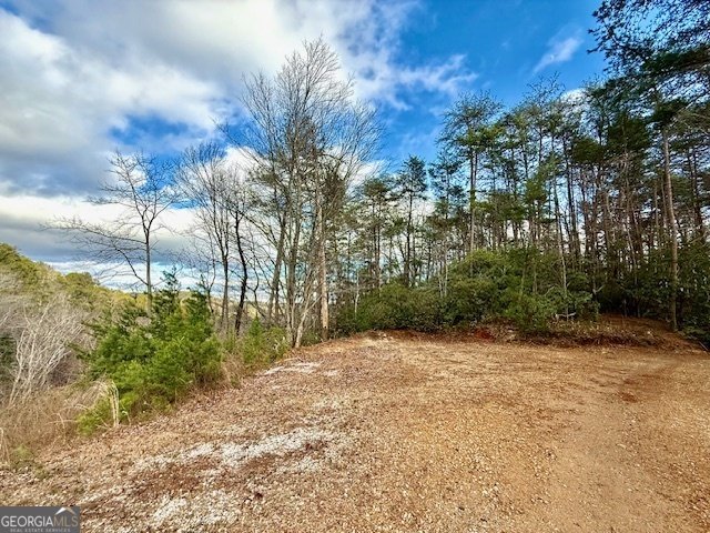 568 Yonah Lake Circle Toccoa - 39
