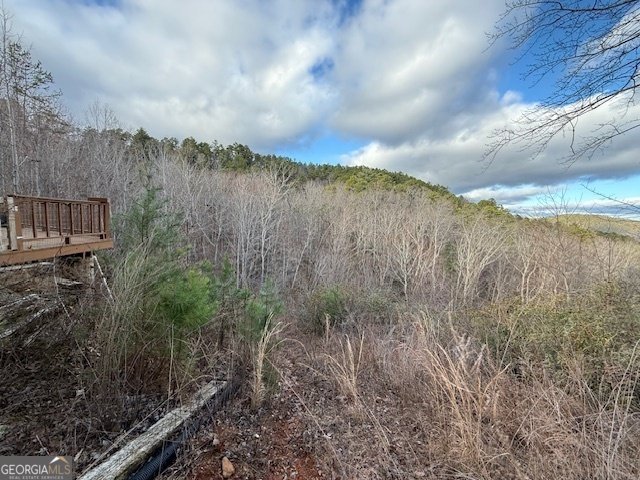 568 Yonah Lake Circle Toccoa - 40