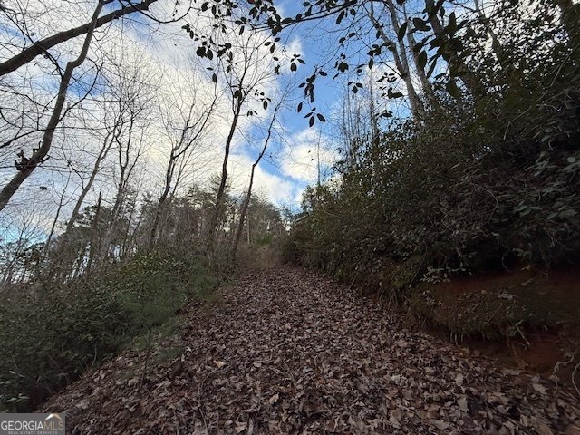 568 Yonah Lake Circle Toccoa - 42