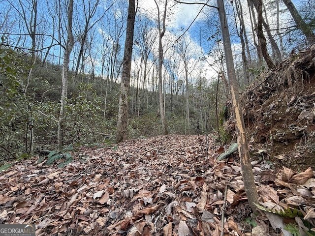 568 Yonah Lake Circle Toccoa - 43