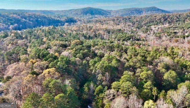 568 Yonah Lake Circle Toccoa - 45