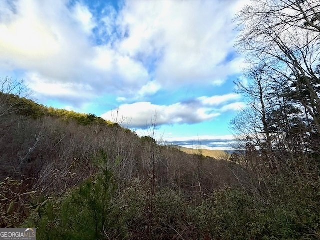 568 Yonah Lake Circle Toccoa - 52