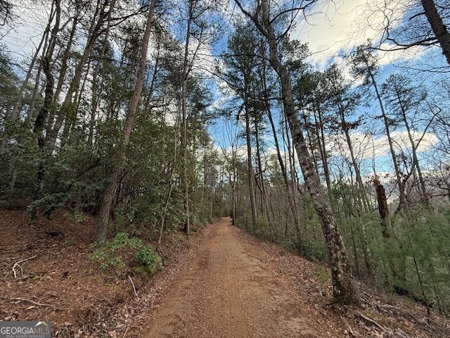 568 Yonah Lake Circle Toccoa - 53