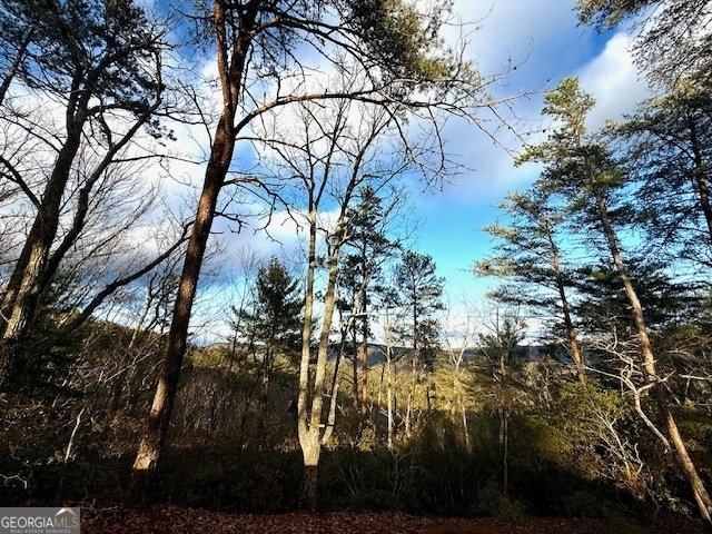 568 Yonah Lake Circle Toccoa - 56