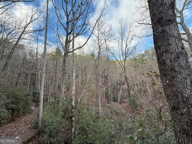 568 Yonah Lake Circle Toccoa - 57