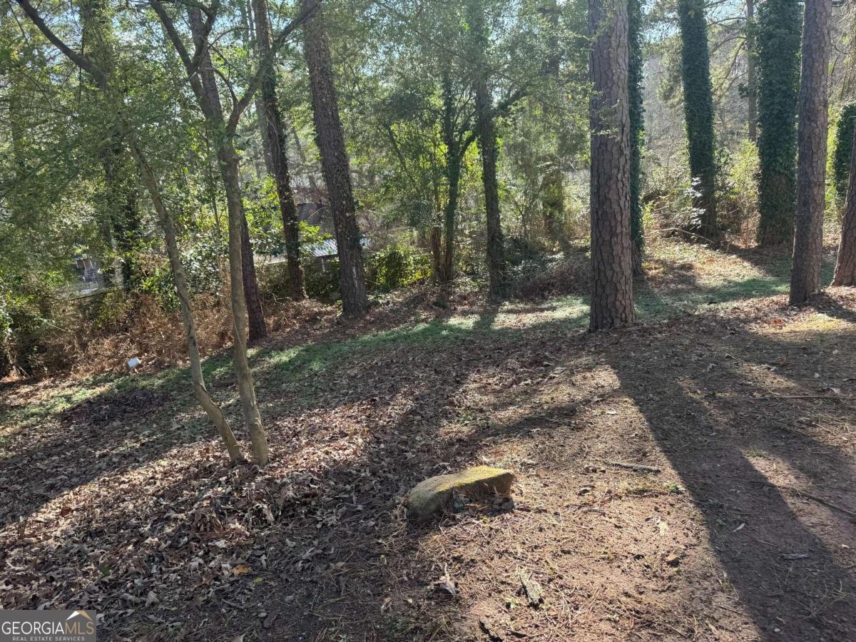 3705 Daisy Drive Decatur - 23
