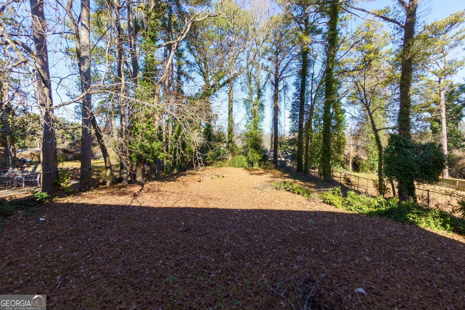 2036 Camellia Drive Decatur - 29