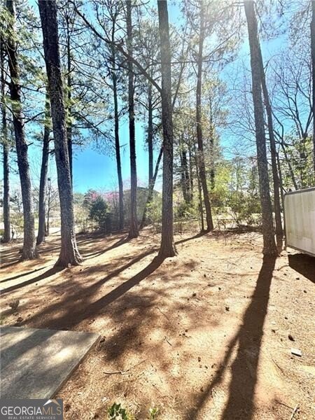 869 Meadow Rock Way Stone Mountain - 21