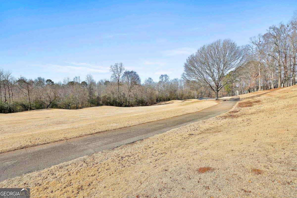 74 Greenview Drive Newnan - 48