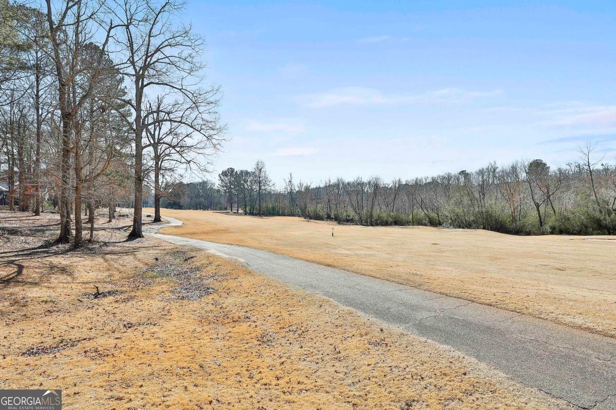 74 Greenview Drive Newnan - 49