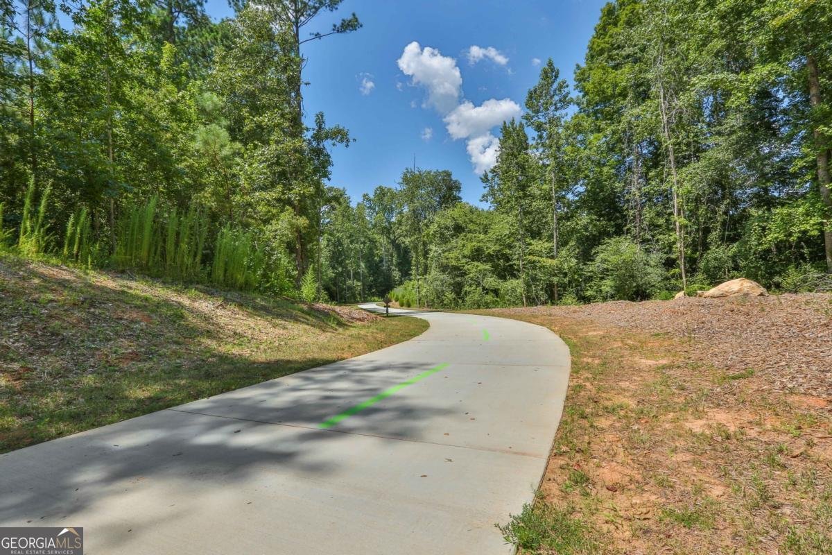 74 Greenview Drive Newnan - 57