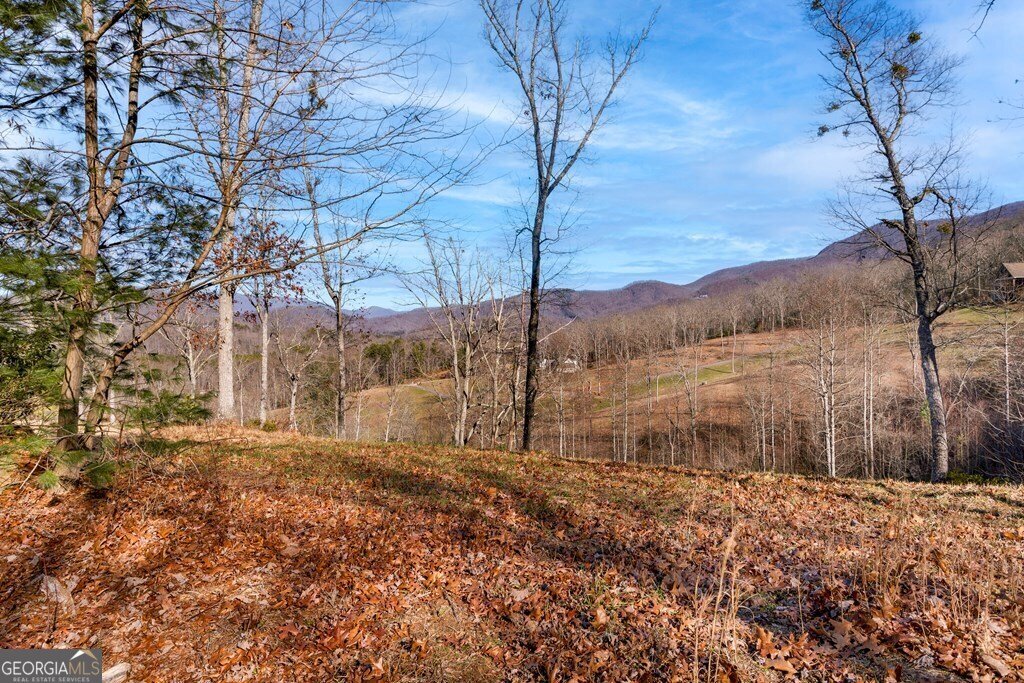 1341 Laurel Court Hiawassee - 58