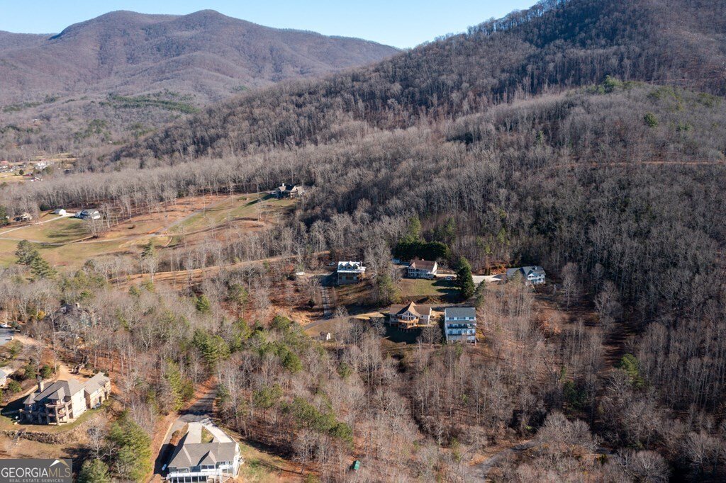 1341 Laurel Court Hiawassee - 60