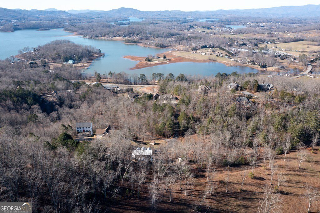 1341 Laurel Court Hiawassee - 61