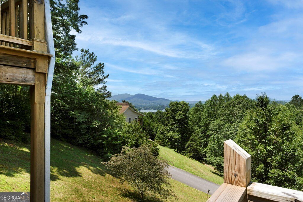 1341 Laurel Court Hiawassee - 81