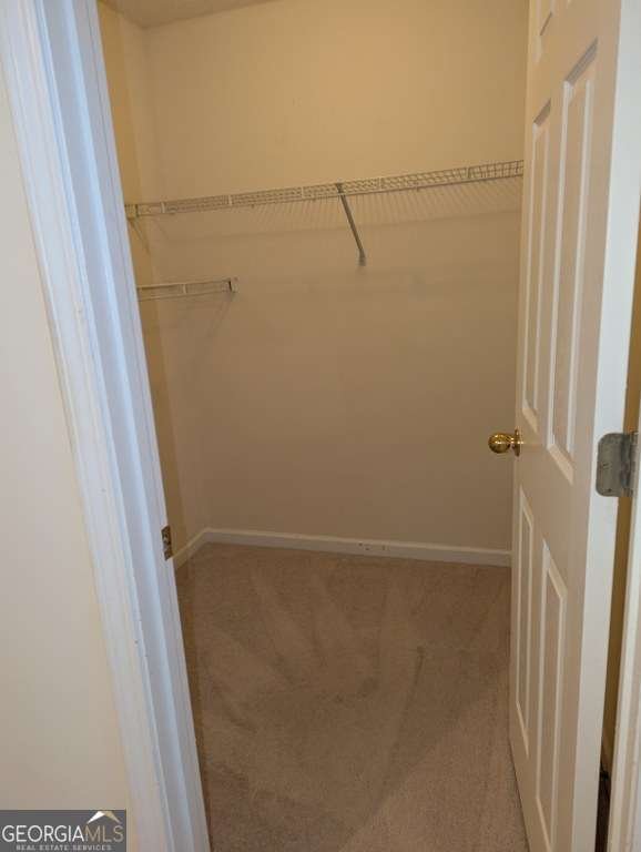 3308 Walden Park Drive Savannah - 19