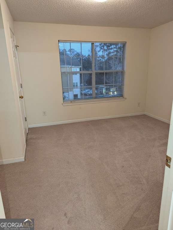 3308 Walden Park Drive Savannah - 25