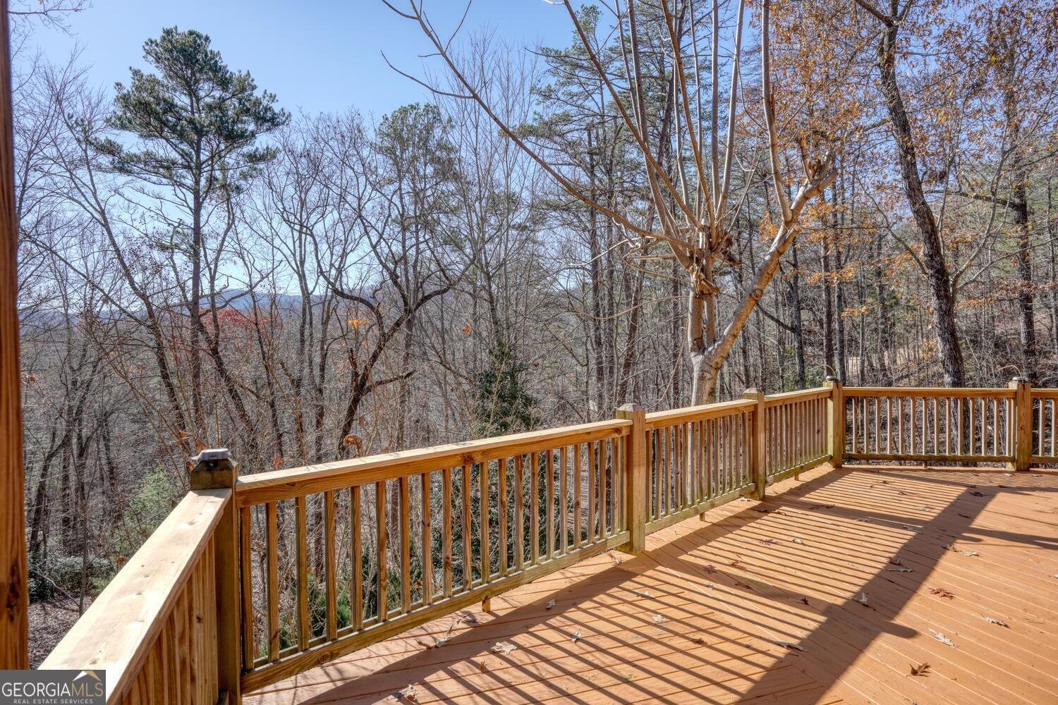 158 Whispering Pines Road Blue Ridge - 53