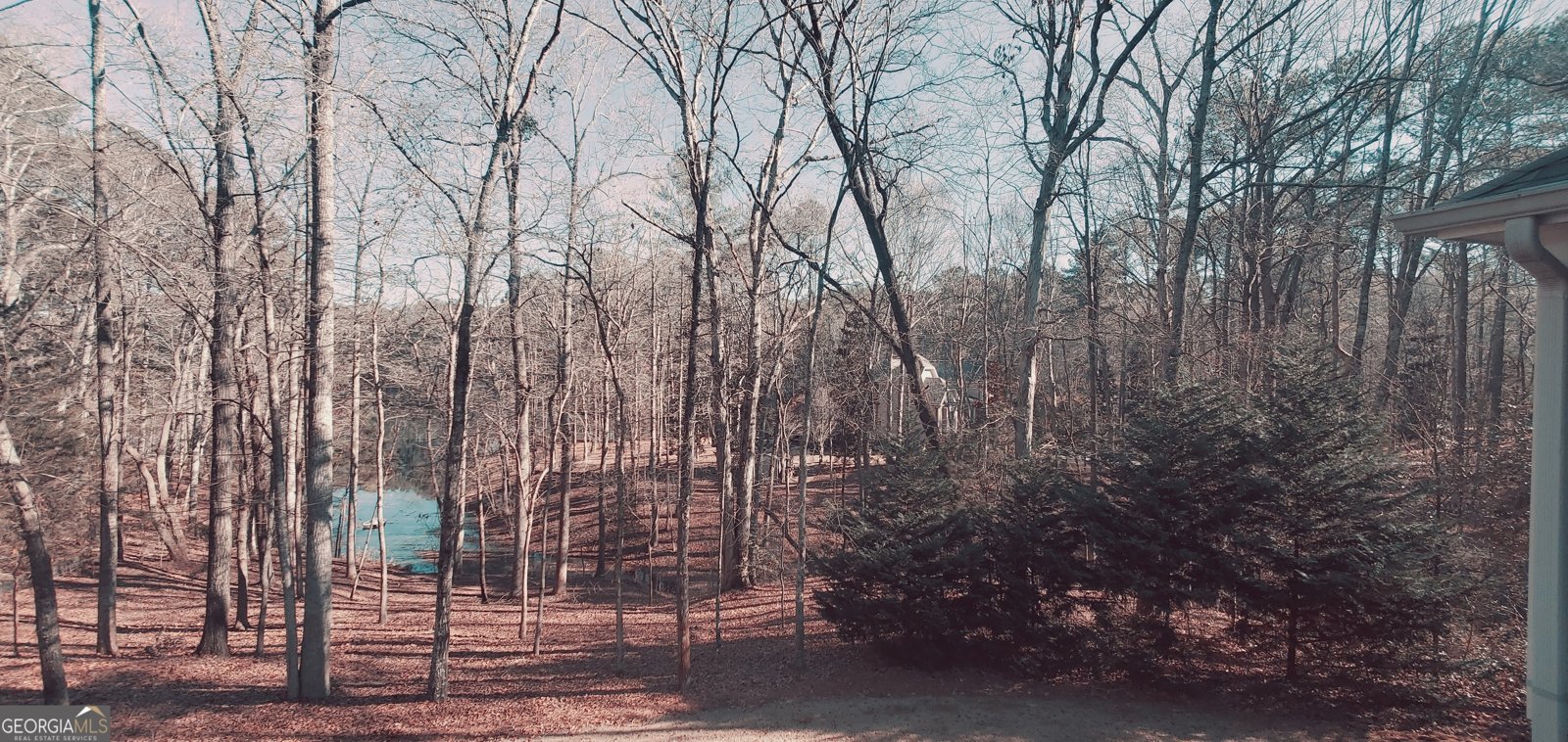 1030 Lake Haynes Drive Conyers - 124