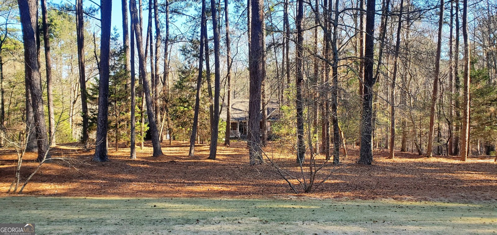 1030 Lake Haynes Drive Conyers - 125