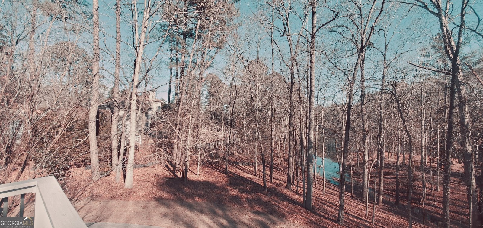 1030 Lake Haynes Drive Conyers - 126