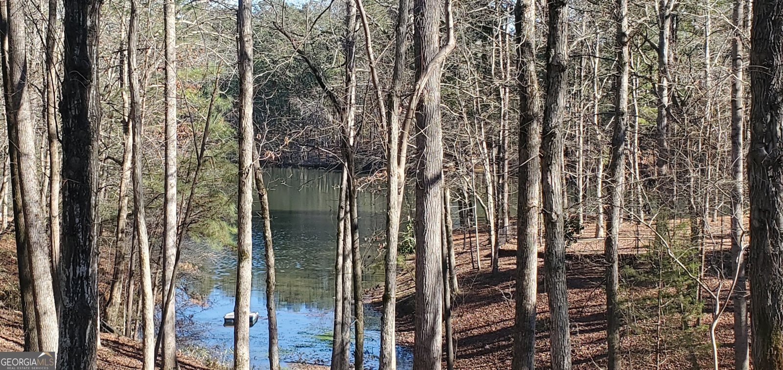 1030 Lake Haynes Drive Conyers - 128