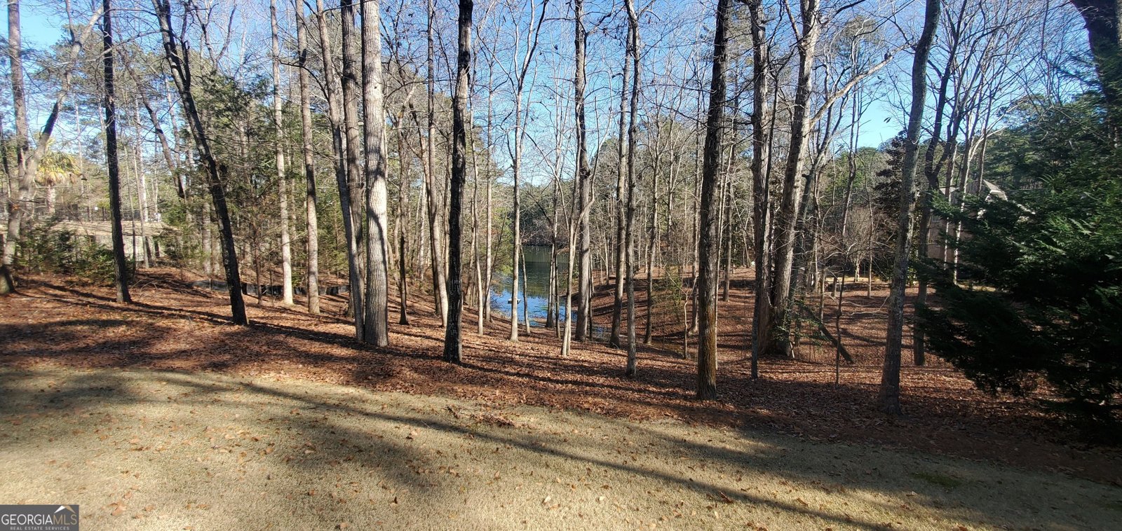1030 Lake Haynes Drive Conyers - 129