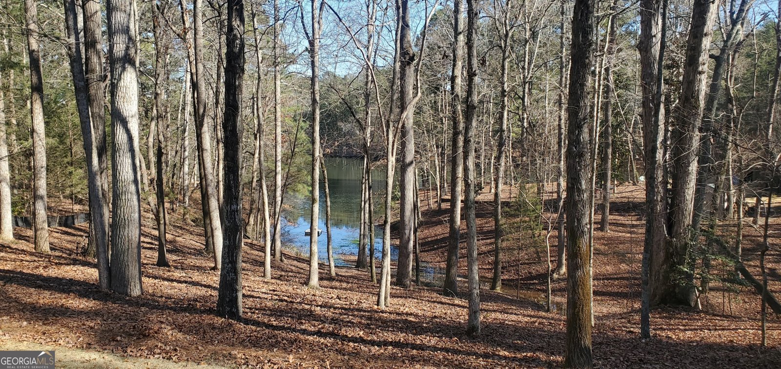 1030 Lake Haynes Drive Conyers - 130