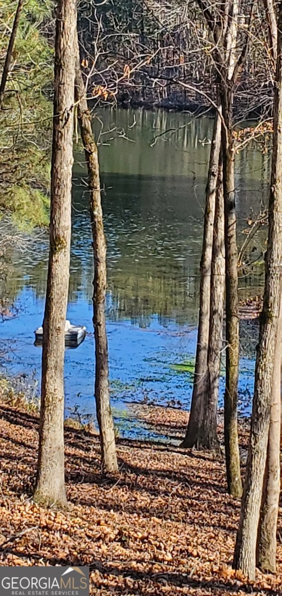 1030 Lake Haynes Drive Conyers - 131