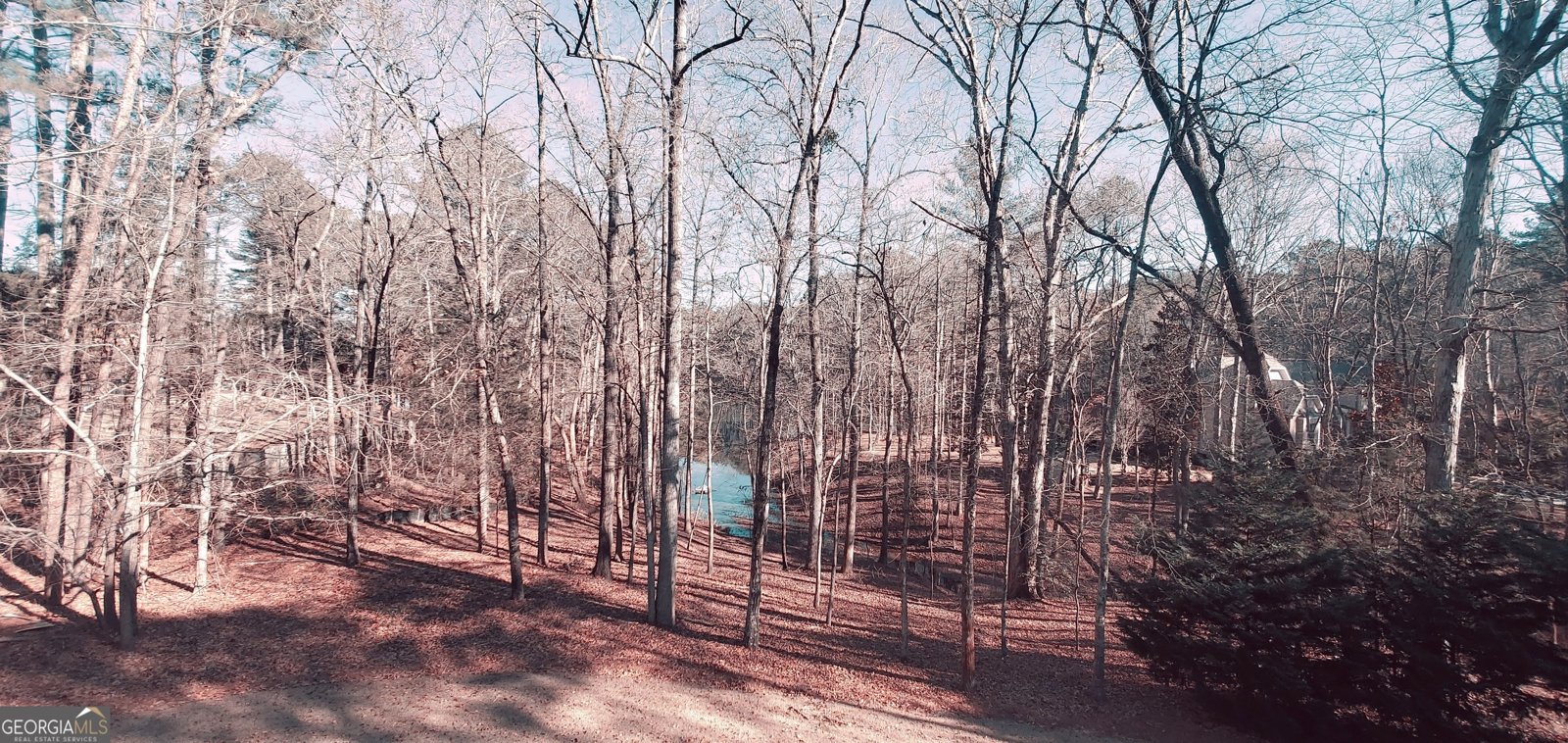 1030 Lake Haynes Drive Conyers - 134