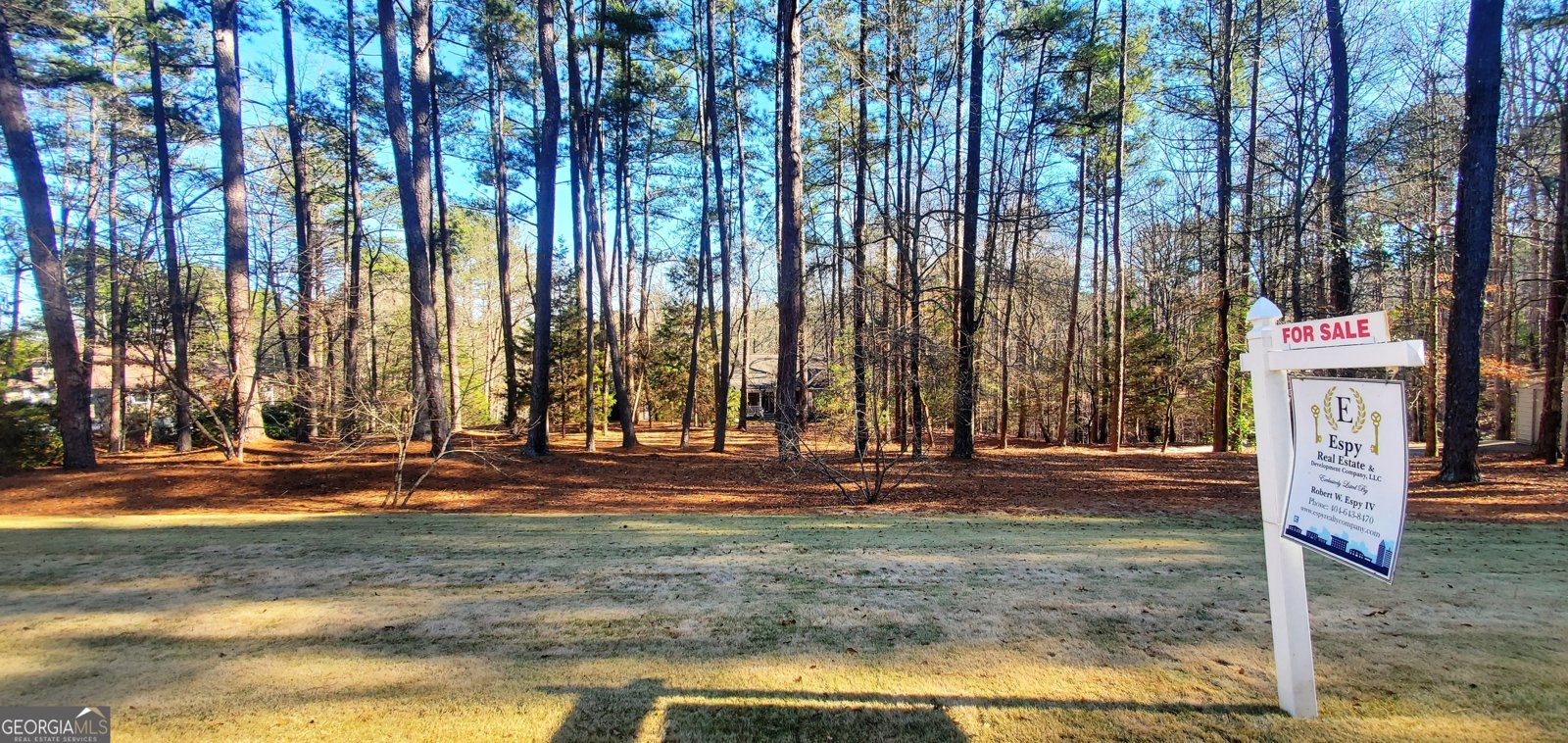 1030 Lake Haynes Drive Conyers - 135