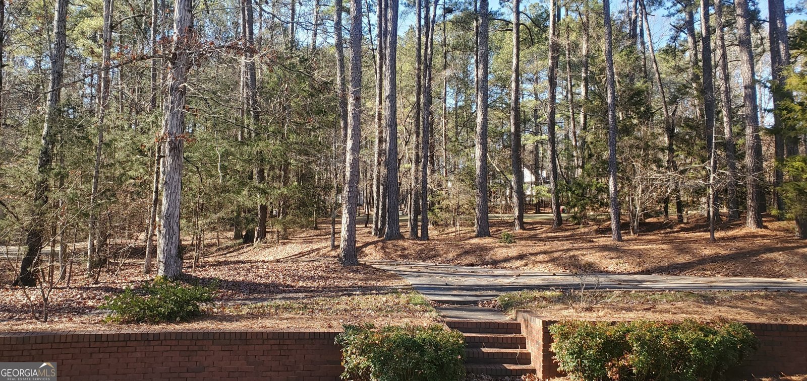 1030 Lake Haynes Drive Conyers - 4