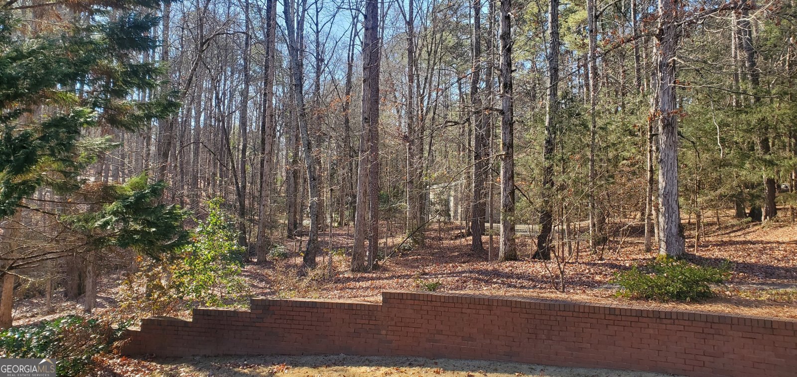 1030 Lake Haynes Drive Conyers - 5