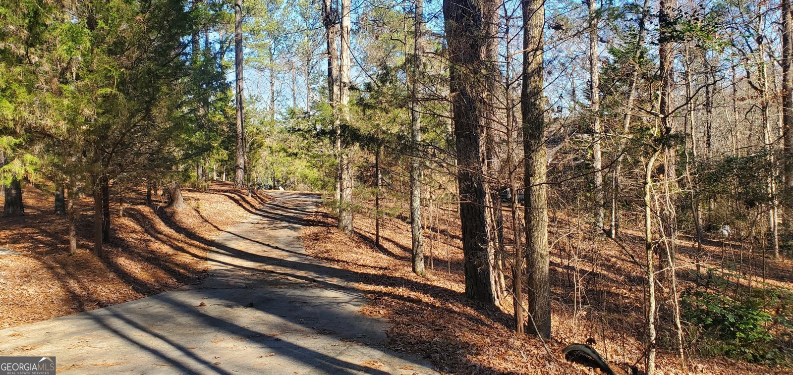 1030 Lake Haynes Drive Conyers - 7