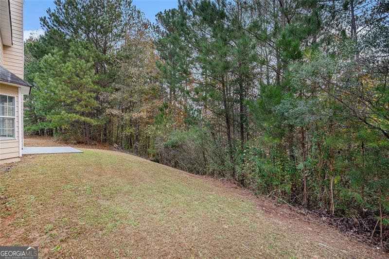 6876 WILDBOAR Drive Fairburn - 29