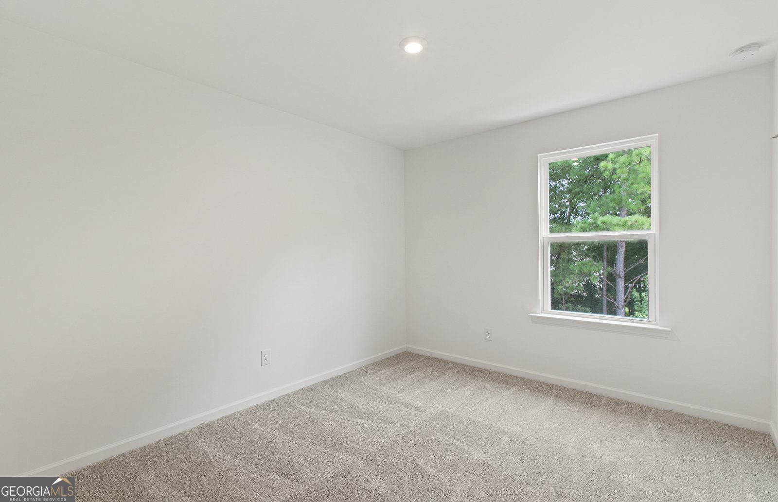 386 Rock View Lane Covington - 10