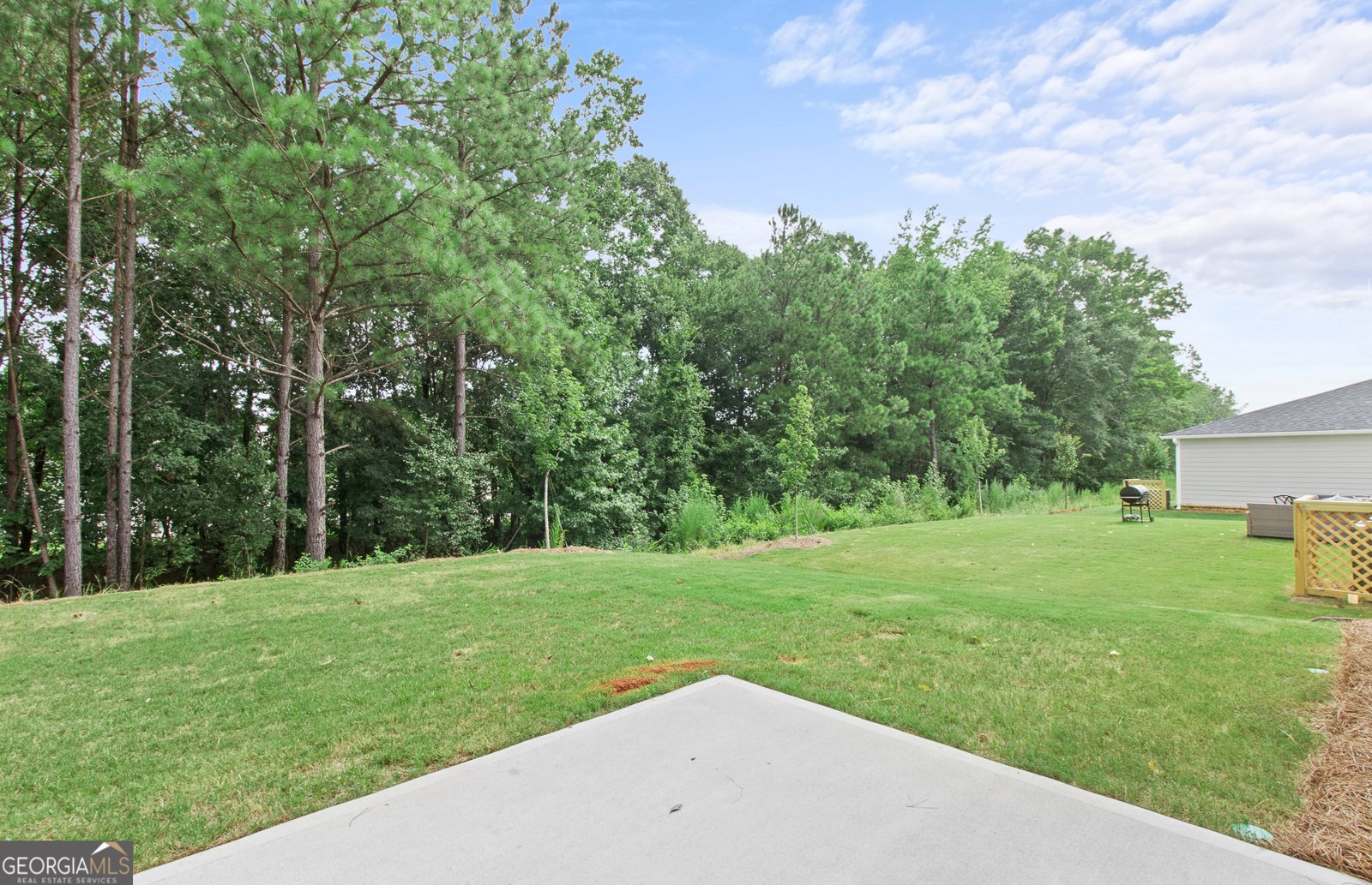 386 Rock View Lane Covington - 13