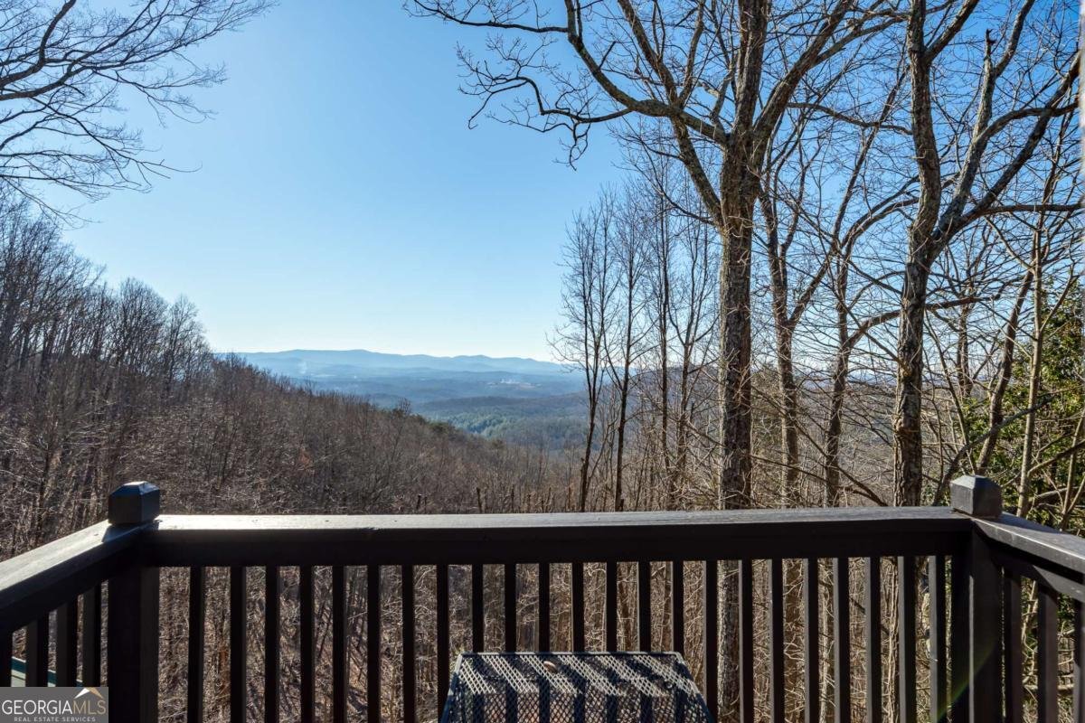 170 Walnut Ridge Ellijay - 30