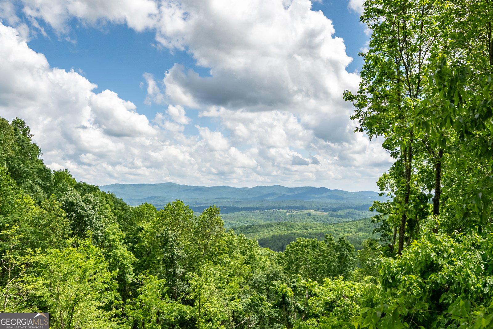170 Walnut Ridge Ellijay - 8