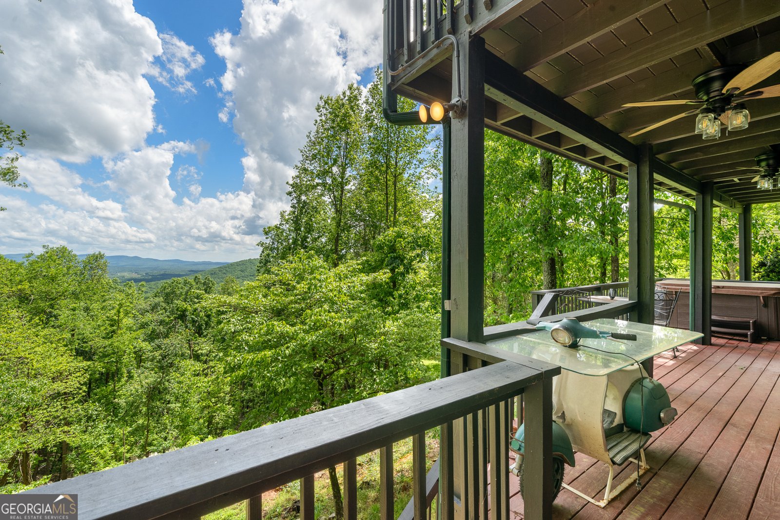 170 Walnut Ridge Ellijay - 9