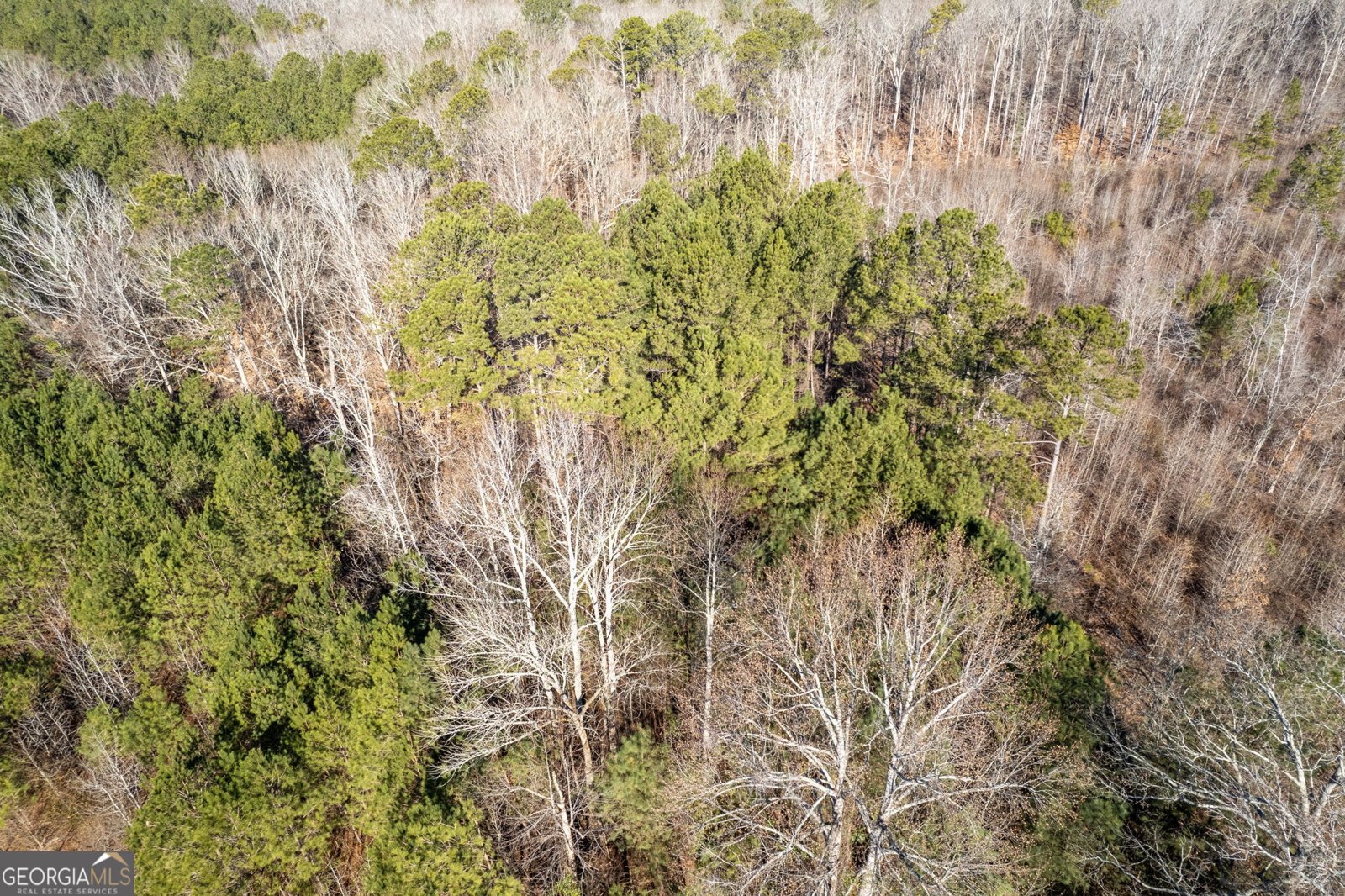 1211 Peachtree Avenue Woodville - 25