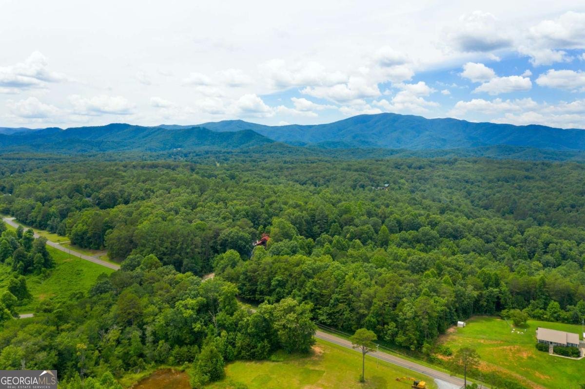 1074 Lees Ride Mccaysville - 17