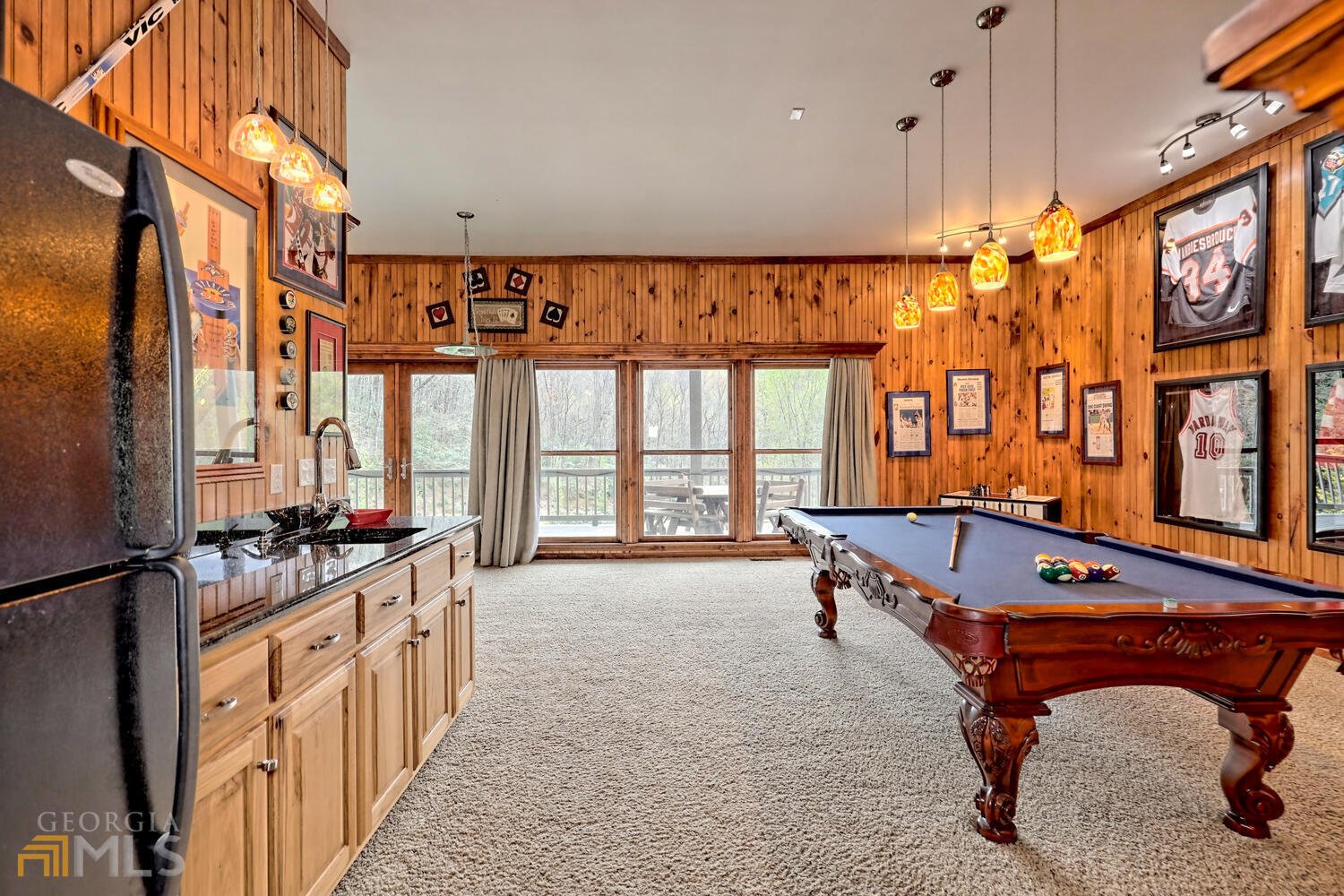 115 Dam Lake Drive Dillard - 54