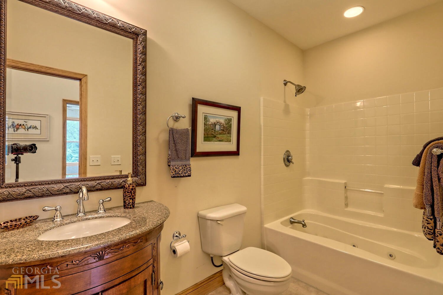 115 Dam Lake Drive Dillard - 58
