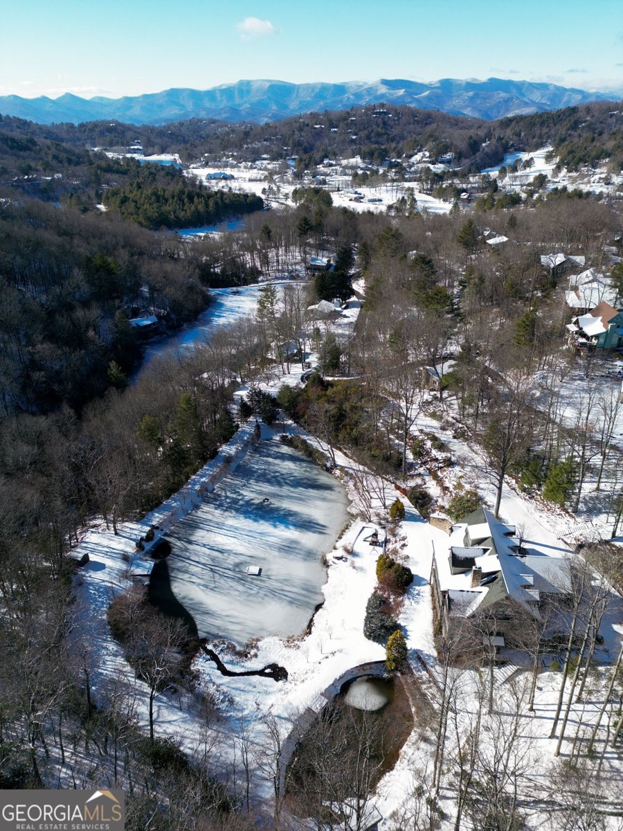 115 Dam Lake Drive Dillard - 76
