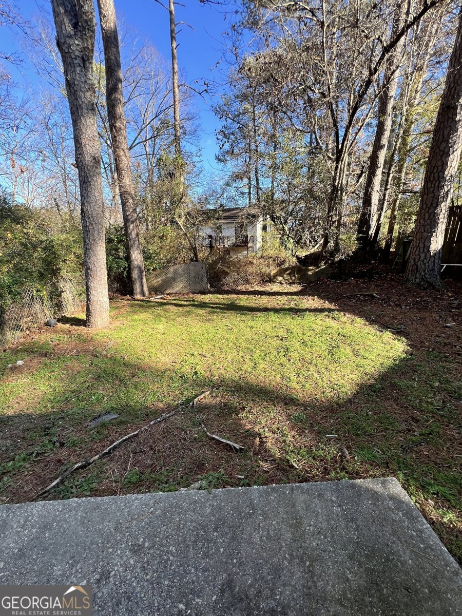 1779 Big Horn Court Conyers - 16