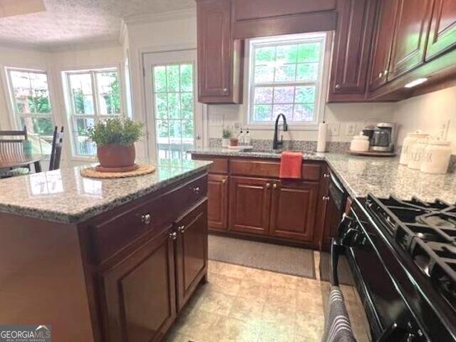 213 Moore Valley Way Canton - 9