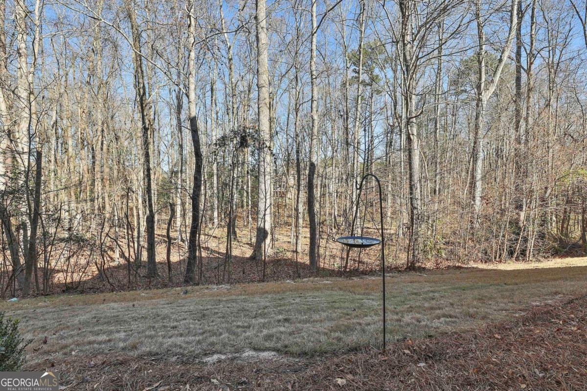 32 American Walk Peachtree City - 46