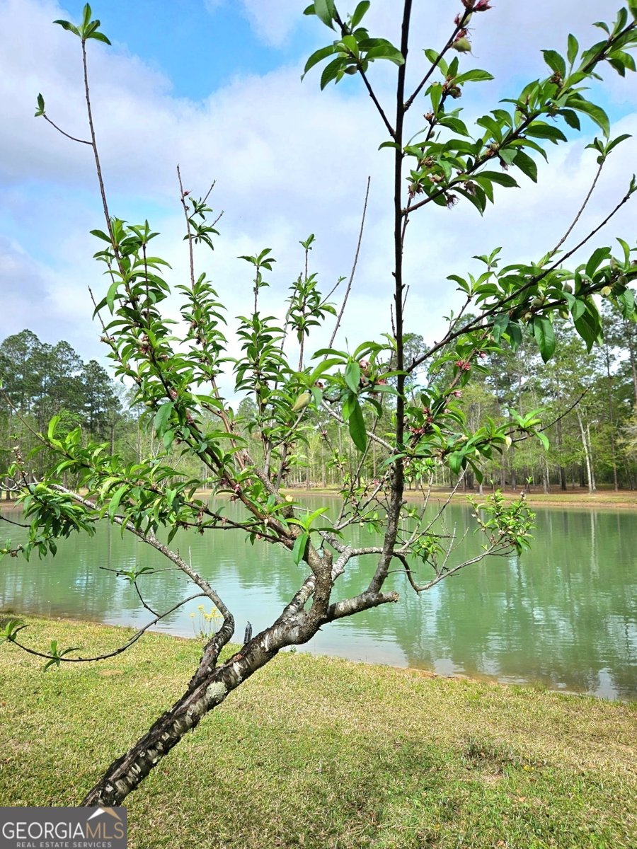 50 & 100 Hallelujah Trail Ellabell - 138